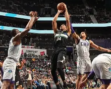 魔兽世界德鲁伊形态外观 魔兽世界德鲁伊形态外观